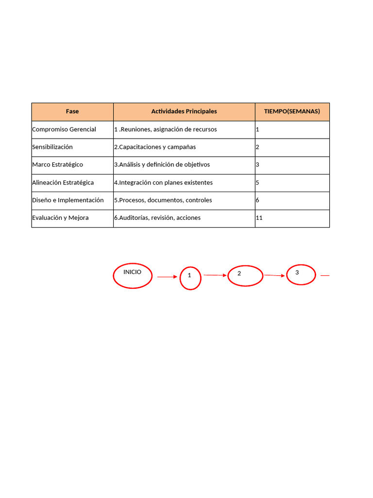 Cronograma Plan Implementacion | PDF