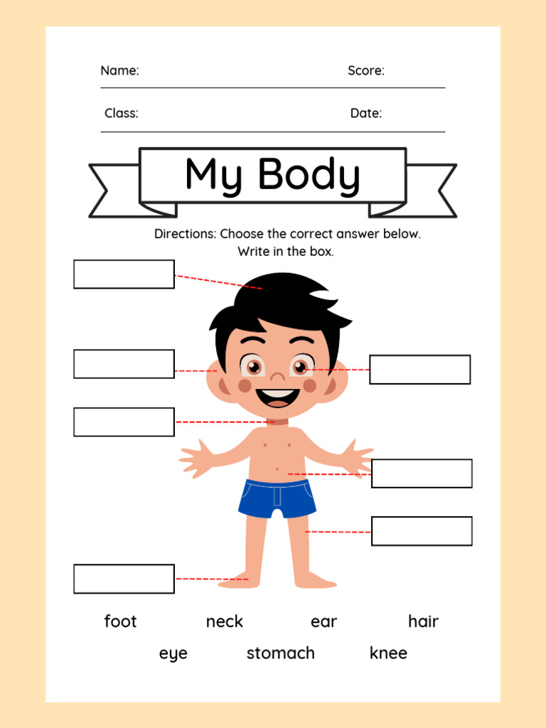 Body Parts Identification Quiz | PDF