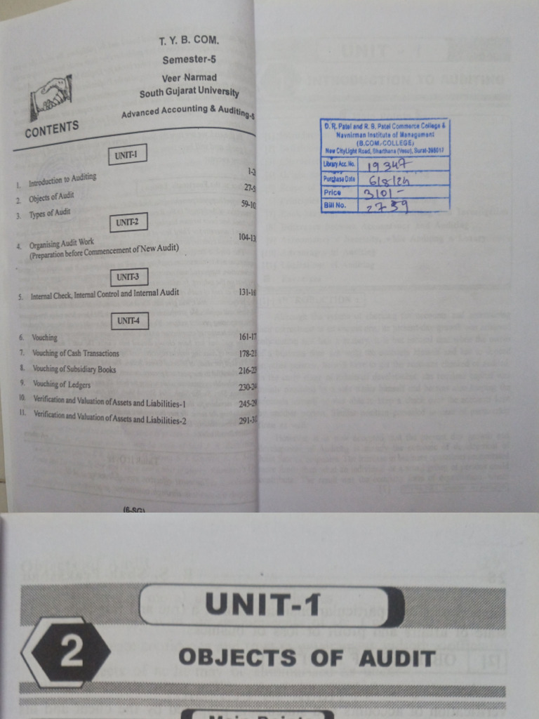 Ty Bcom Audit | PDF