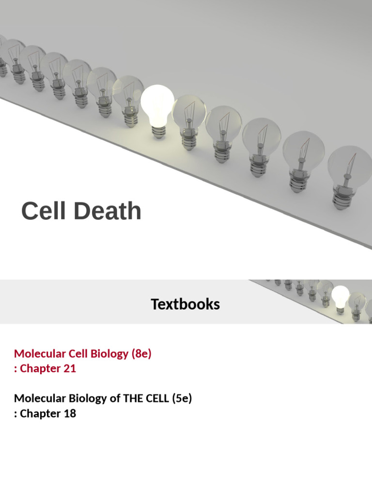 200929 Cell Death | PDF | Apoptosis | Caspase