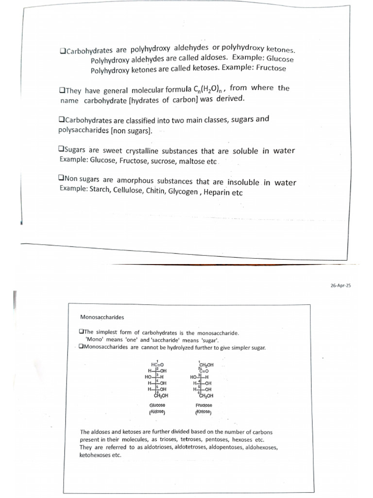Carbohydrates Notes | PDF
