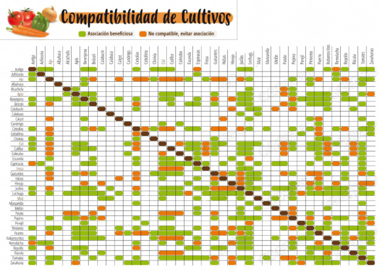 Modulo 6 - Cultivos Compatibles | PDF