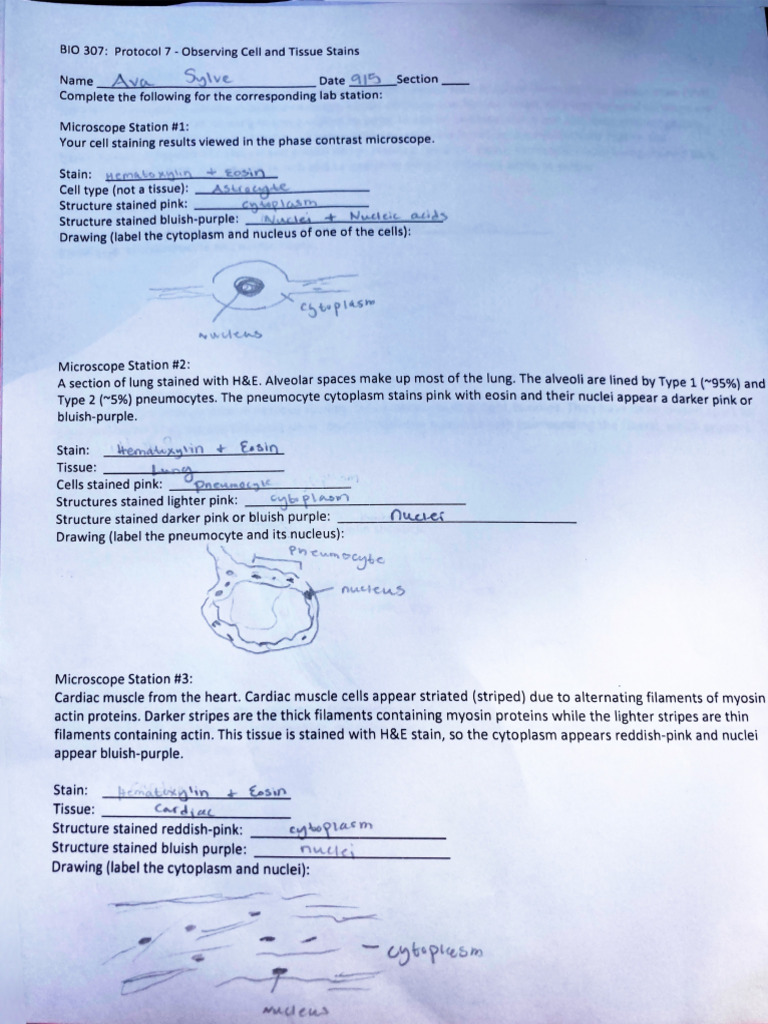 Sep 5, Doc 1 | PDF