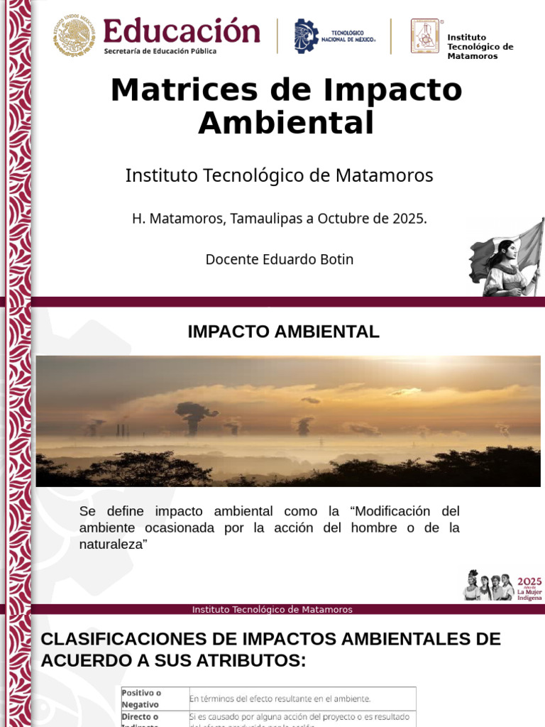 Métodos para Evaluar Impacto Ambiental | PDF | Entorno natural | Matriz ...