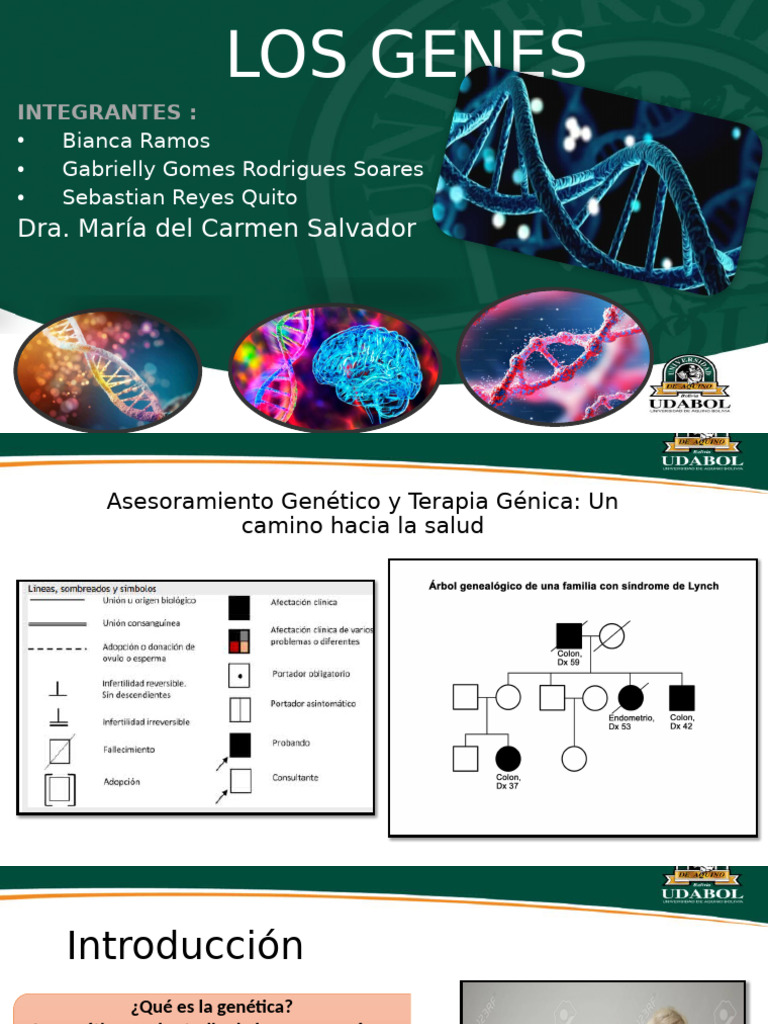 Asesoramiento y Terapia Génica: Salud | PDF | Terapia de genes ...
