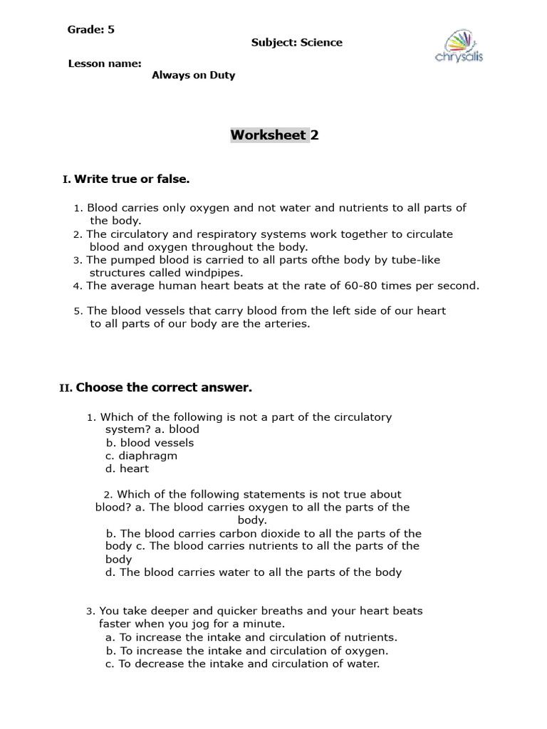 Grade 5 Science: Circulatory System Worksheet | PDF | Circulatory ...