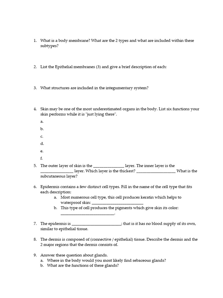 Integumentary System Worksheet Guide | PDF | Skin | Epidermis