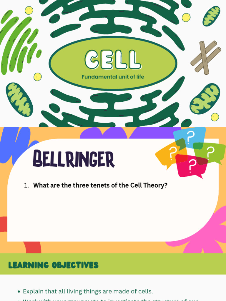2.4 - Notes - Cell Structure Function | PDF | Cell (Biology ...