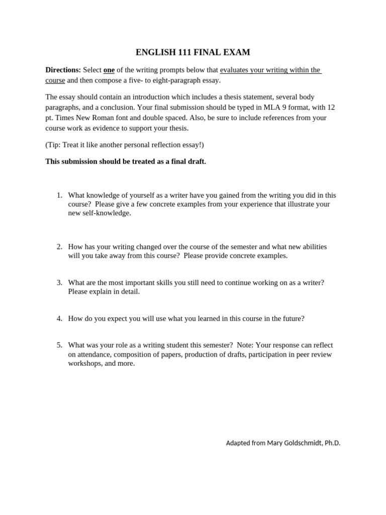 Directions - EnGLISH 111 FINAL Essay Exam | PDF