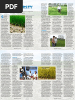 Download RT Vol 8 No 3 Making rice less thirsty by Rice Today SN94629559 doc pdf