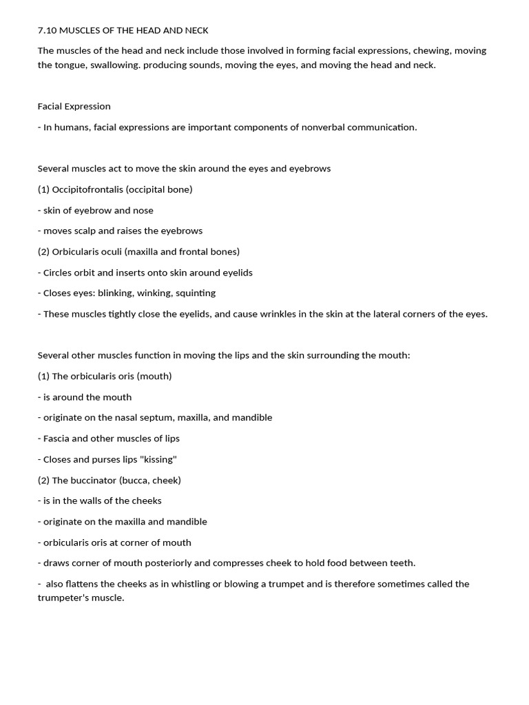 Head and Neck Muscle Functions | PDF | Neck | Larynx