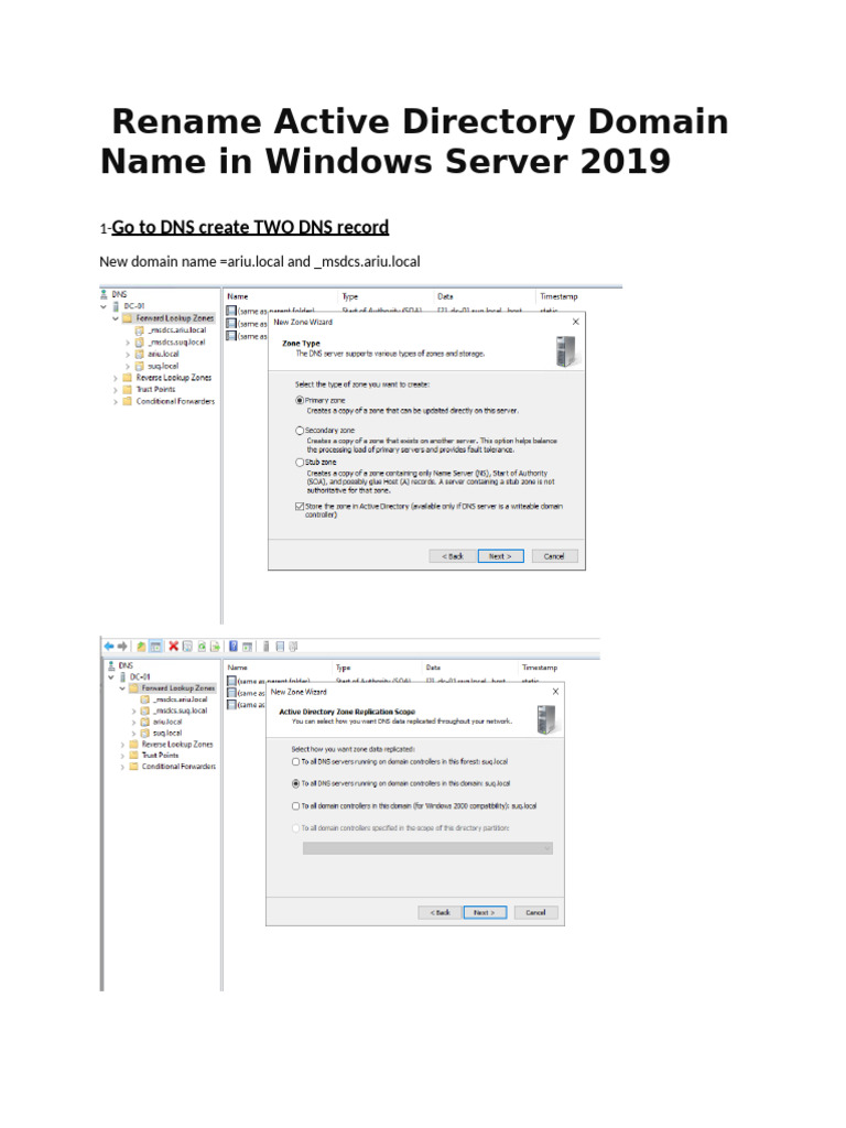Rename AD Domain in Windows Server 2019 | PDF