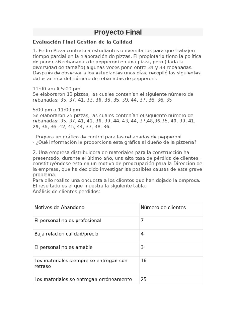 Proyecto Final | PDF