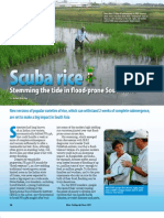 Download RT Vol 8 No 2 Scuba rice by Rice Today SN94631646 doc pdf
