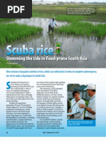 Download RT Vol 8 No 2 Scuba rice by Rice Today SN94631646 doc pdf