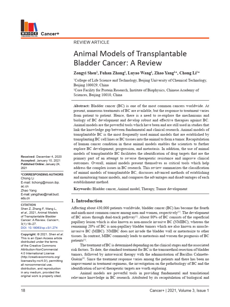Animal Models in Bladder Cancer Research | PDF | Thymus | Metastasis