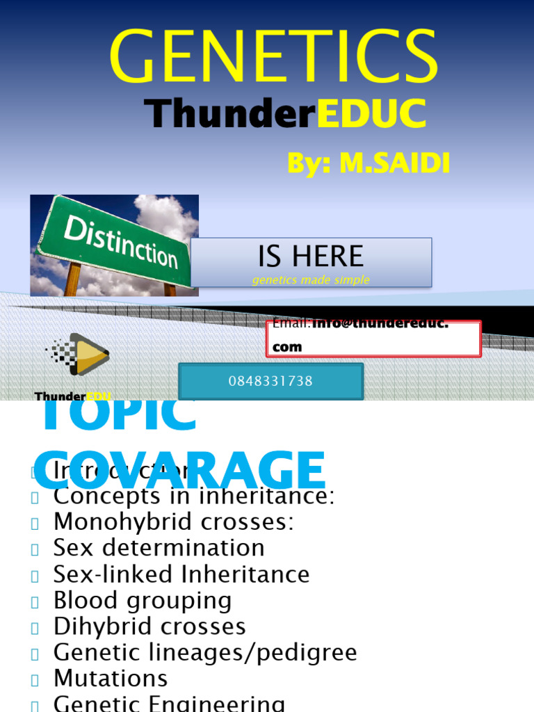 Simplified Genetics Concepts Guide | PDF | Dominance (Genetics) | Genotype