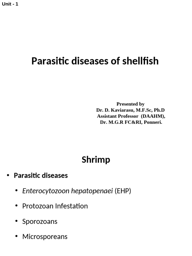Parasitic Diseases in Shellfish: Shrimp & Mollusks | PDF | Epithelium