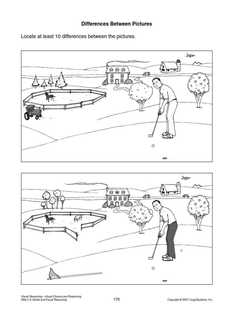 Visual Reasoning: Picture Differences Exercise | PDF