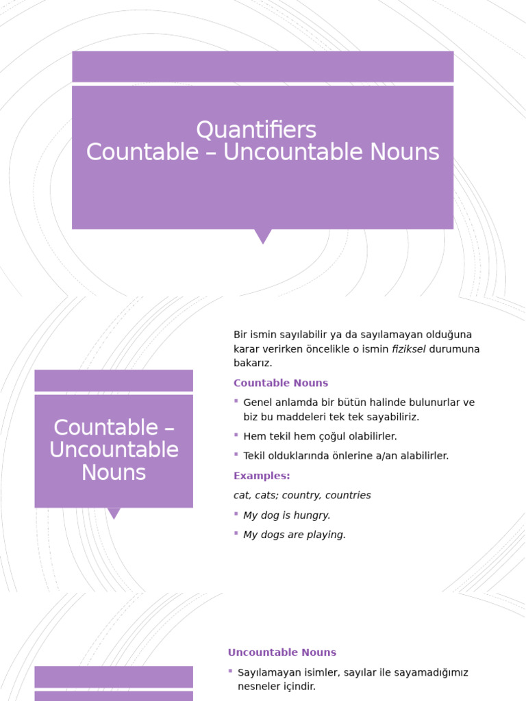 Quantifiers | PDF
