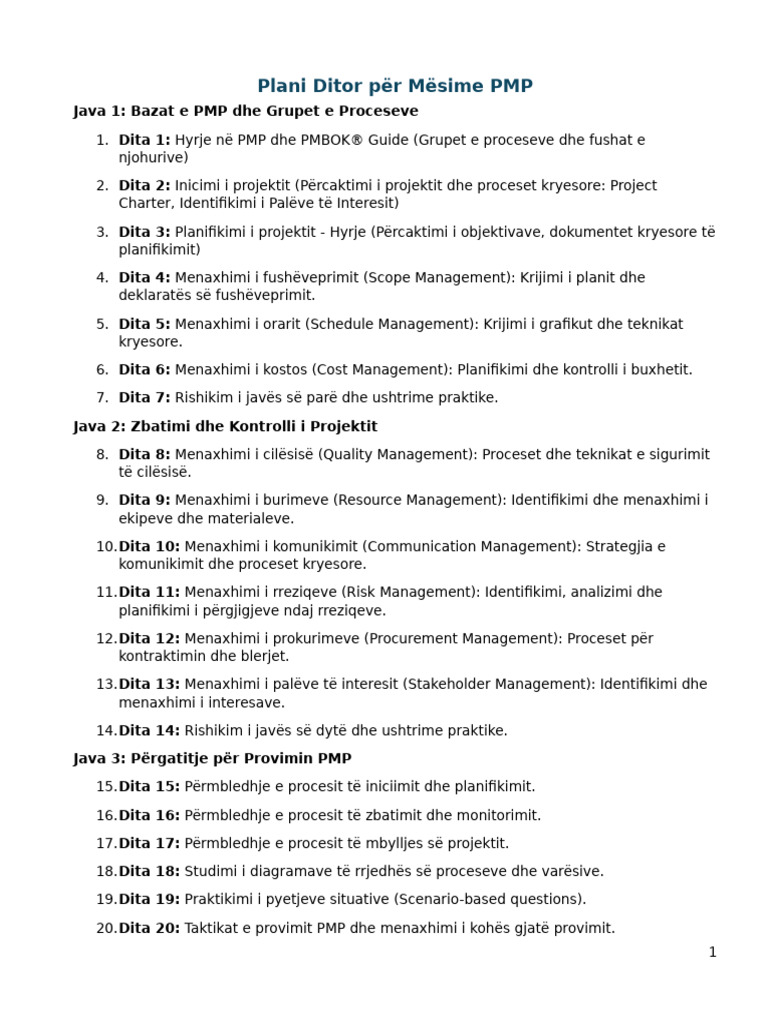 Plani Ditor PMP | PDF