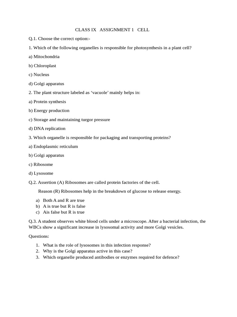 Cell Biology Assignment for Class IX | PDF