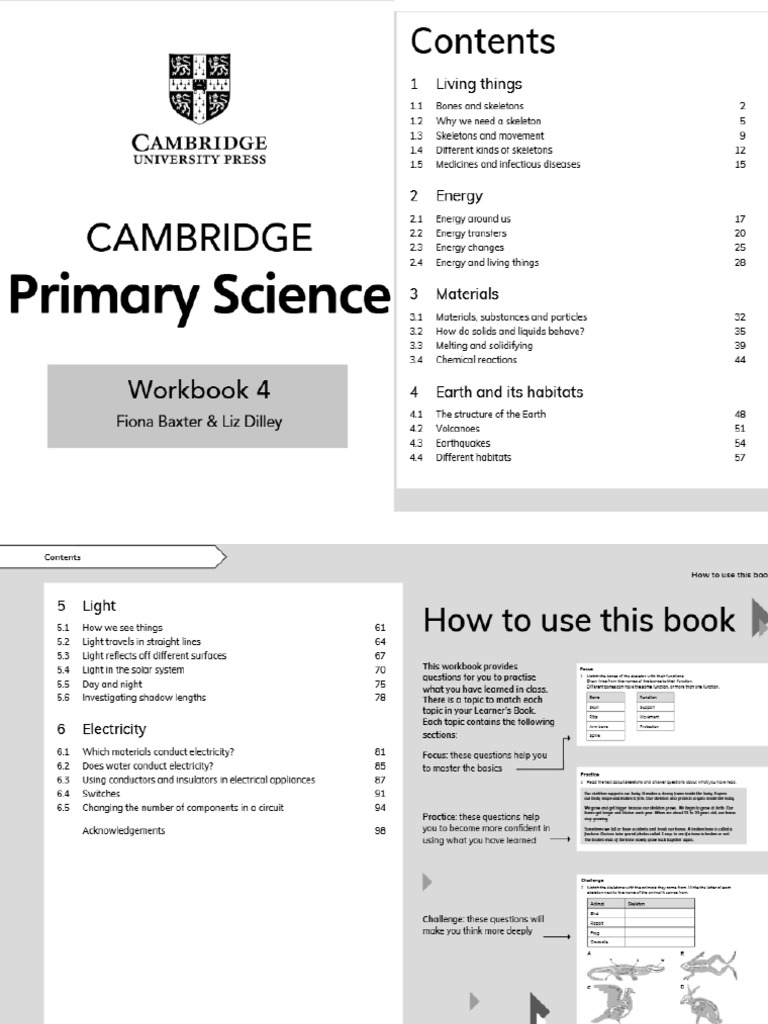 Science Work Book Grade 4 | PDF