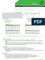 Ob Erp Brochure_esp