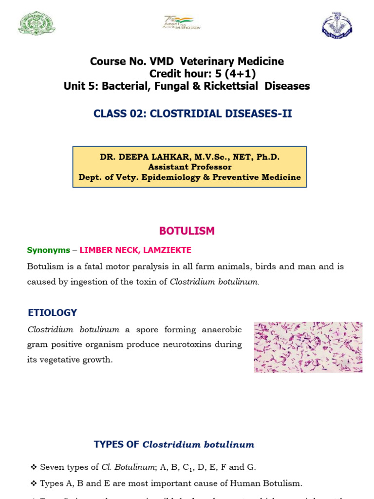 VMD Unit 5 Class 02 (11.12.2024) | PDF | Botulinum Toxin | Diseases And ...