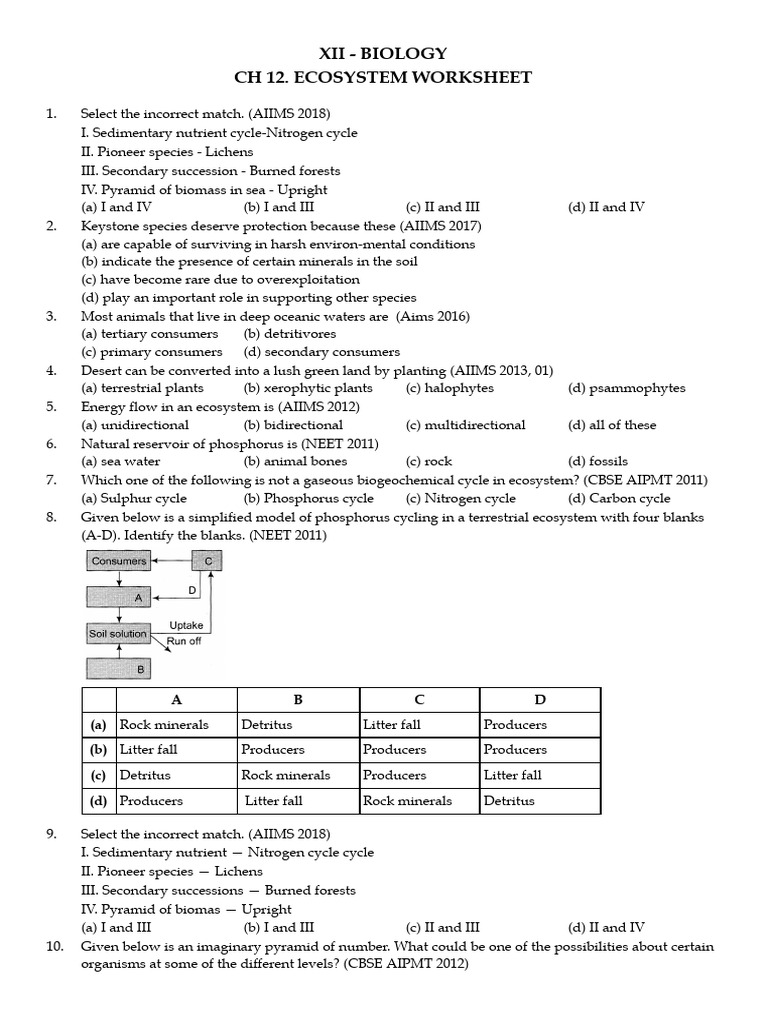 Ecosystem Worksheet: Key Concepts & Questions | PDF | Ecosystem | Food Web