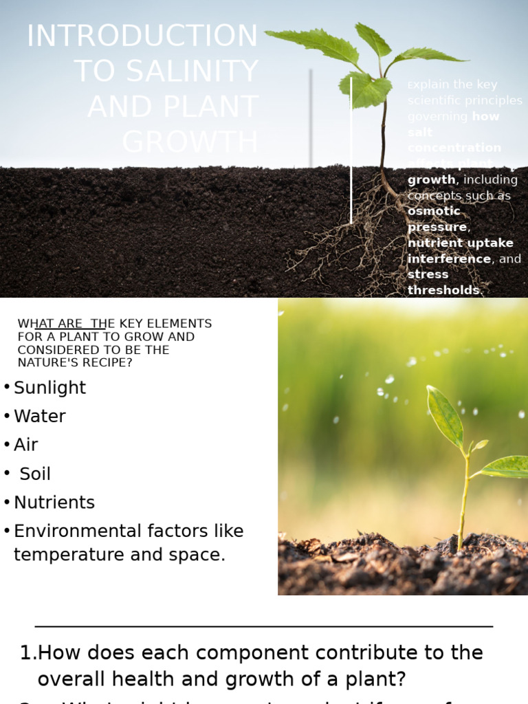 Salinity's Impact on Plant Growth | PDF | Osmosis | Soil