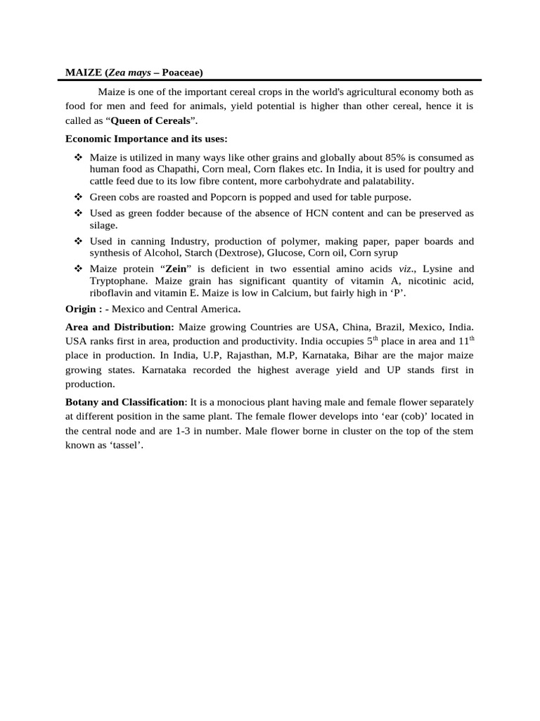 Maize | PDF | Maize | Cereals