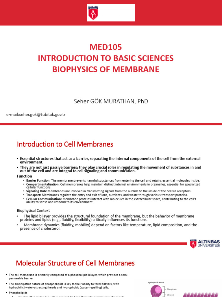 Biophysics of Cell Membranes Explained | PDF | Cell Membrane | Membrane ...