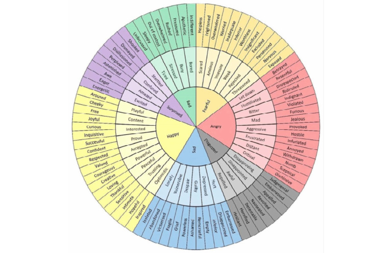 DBT Feelings Wheel PDF | PDF