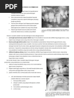 Download Interceptive Orthodontics by Niki Putri Irianti SN94644927 doc pdf