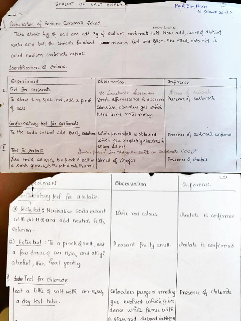 Salt Analysis Procedure Sheet | PDF