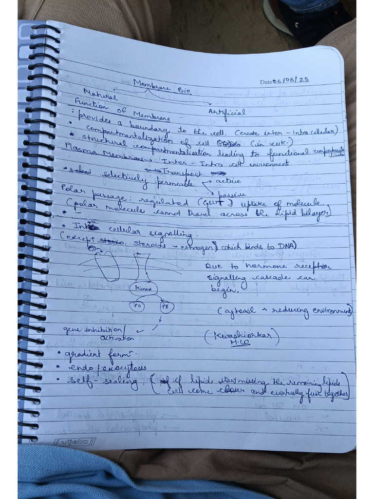 Kanishka Sy Notes | PDF