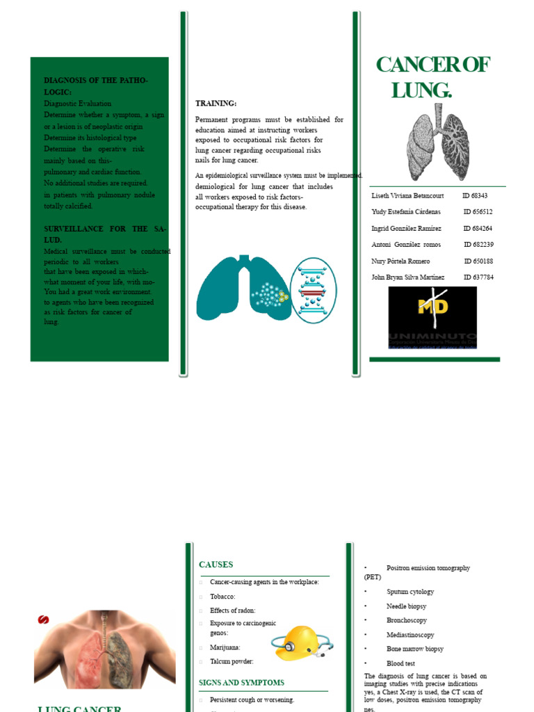 Lung Cancer Diagnosis and Surveillance | PDF | Lung Cancer | Cancer
