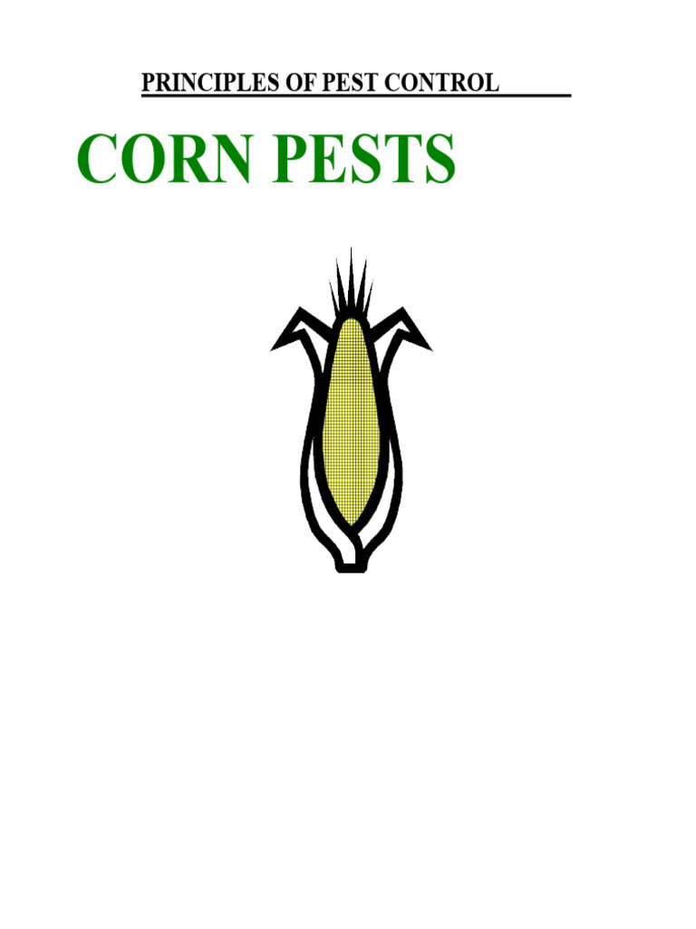 Corn Pest Control Strategies | PDF | Pest (Organism) | Maize