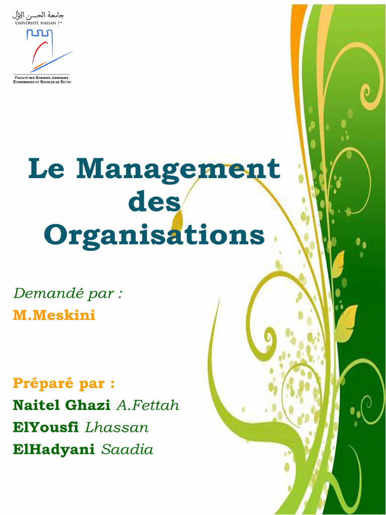 Managementul Organizațiilor | PDF