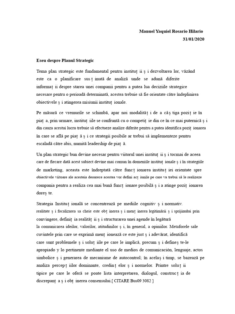 Eseu Despre Planul Strategic | PDF