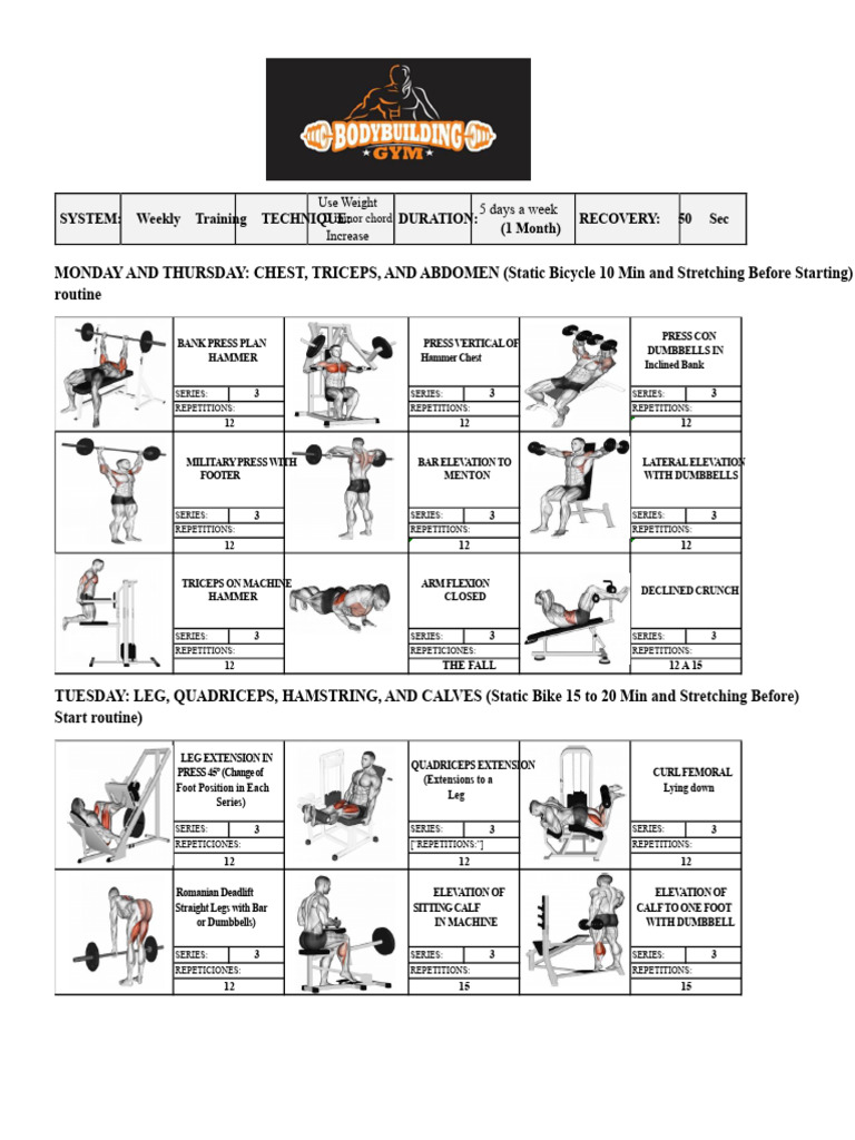 Weekly Strength Training Routine | PDF | Anatomical Terms Of Motion ...