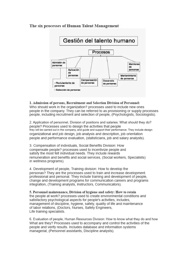 Six Key Processes in Talent Management | PDF