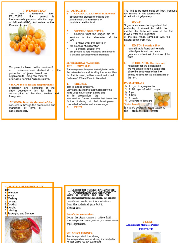 Triptych Ale | PDF | Fruit Preserves | Food Science