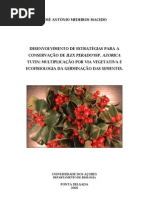 estagio_UAc_JAMacedo_2000