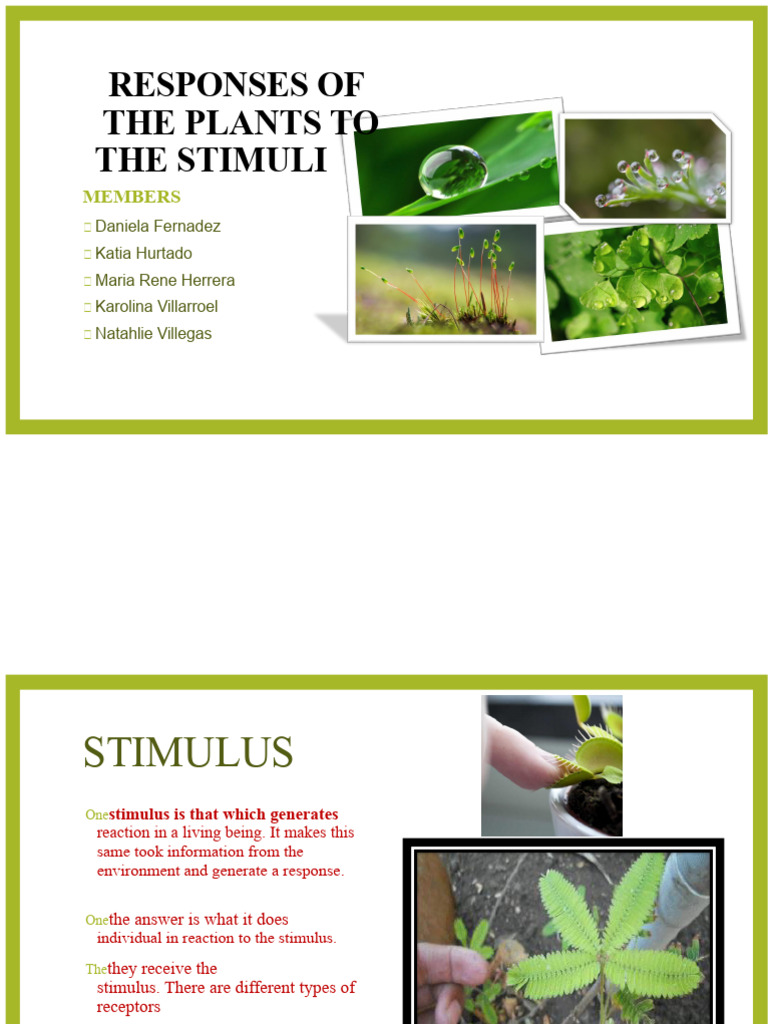 Responses of Plants to Stimuli | PDF | Stimulus (Physiology) | Biology