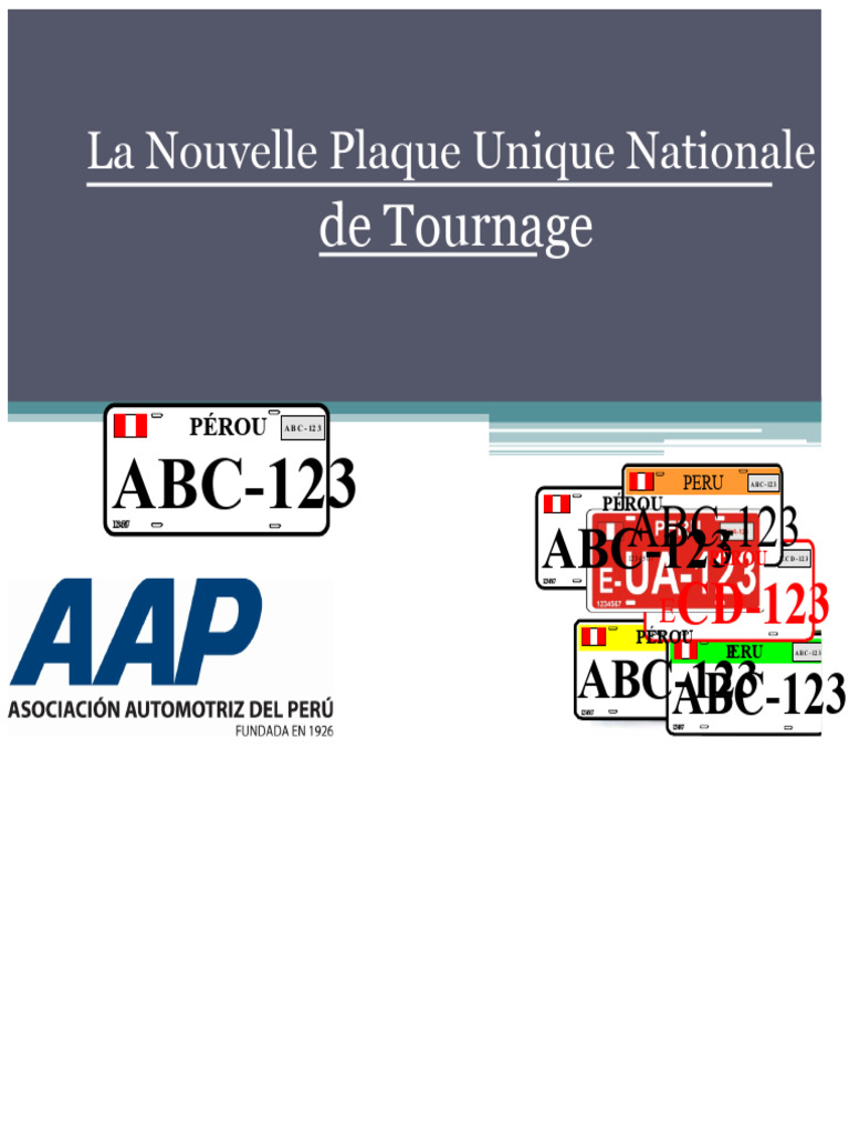 Nouvelle Plaque Unique Nationale au Pérou | PDF | Radio-identification