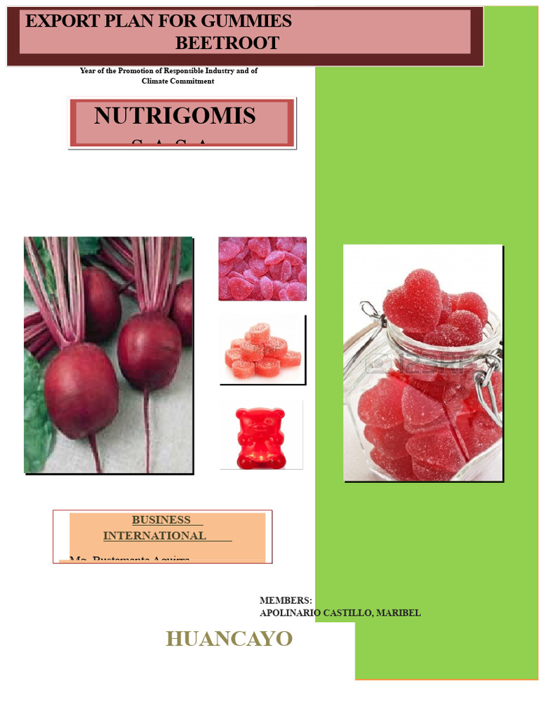 Beetroot Gummies Export Plan Overview | PDF | South America | Brazil