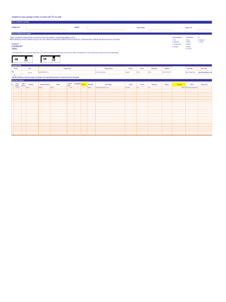 Template - Openings Salary BCP | PDF