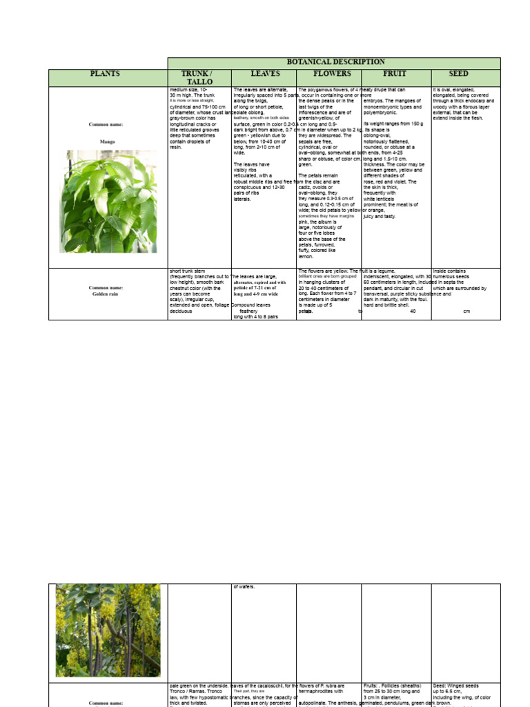Comprehensive Botanical Descriptions | PDF | Leaf | Fruit